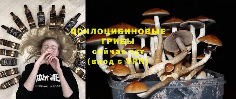 купить   Воркута  omg ТОР  Псилоцибиновые грибы Psilocybine cubensis 